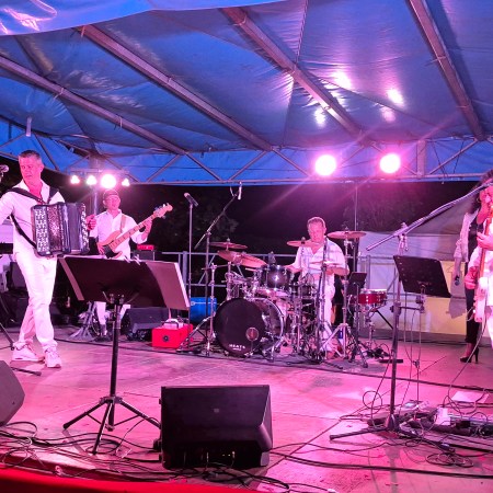 Saint-Rambert-d'Albon : le Comité des Fêtes célèbre ses 65 ans