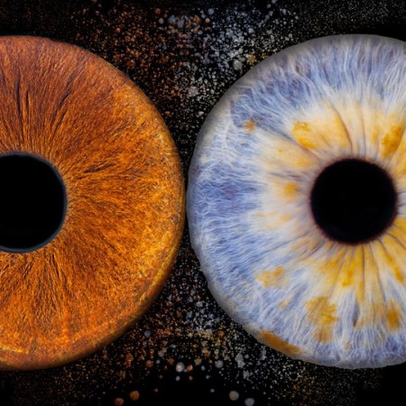 La magie de votre regard capturée en photo d’iris : une expérience unique signée ThiboPhoto