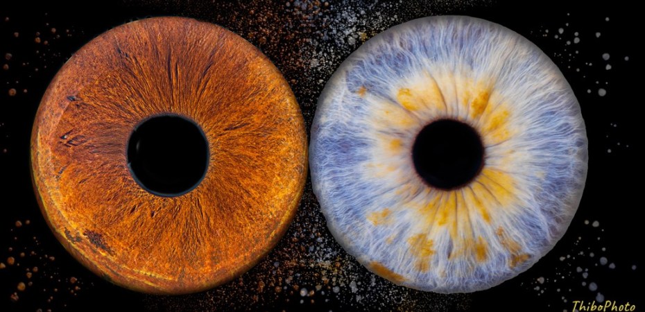 La magie de votre regard capturée en photo d’iris : une expérience unique signée ThiboPhoto
