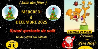 Le Comité des Fêtes de Saint-Rambert-d'Albon prépare un événement enchanteur pour célébrer les fêtes de fin d'année en famille. Le mercredi 3 décembre 2025, la Salle des Fêtes se transformera en théâtre magique pour accueillir le Grand Spectacle de Noël, une animation exceptionnelle qui promet de faire briller les yeux des petits comme des grands.