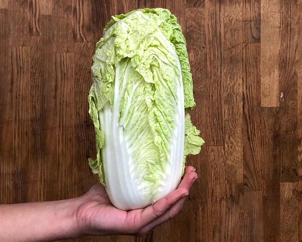 Paniers de légumes frais à 10€ à Saint-Rambert-d'Albon. Circuit court authentique, économie locale, récolte du jour. Réservez au 06 38 48 13 21 !