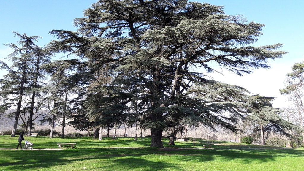 Découvrez la vie de Jean-Louis Moreau de Bonrepos, premier maire de Saint-Rambert-d'Albon (1840-1864). Ancien officier des Gardes du Corps du Roi, il a fondé les institutions de la commune, accueilli Napoléon III en 1860 et légué la Place de Bonrepos. Un fondateur à redécouvrir.