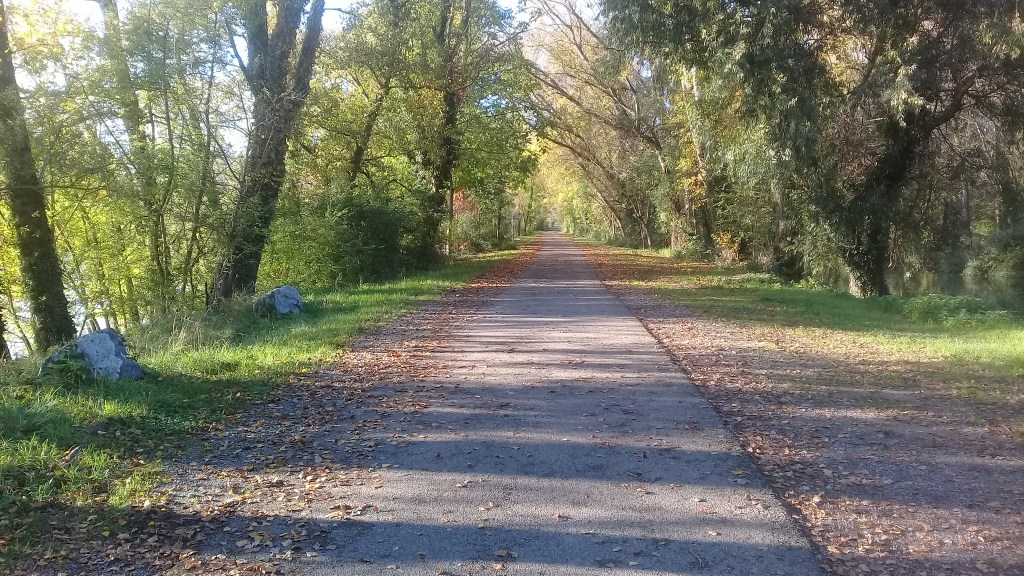 Découvrez l'histoire et le patrimoine de Saint-Rambert-d'Albon à travers ses cours d'eau : le Rhône, le Port de Champagne, l'Oron, les Collières et Les Claires. Plongez dans l'identité rhodanienne de la commune, son passé gallo-romain, son rôle de plus grand marché aux pêches de France et les enjeux de la gestion de l'eau dans la Valloire.