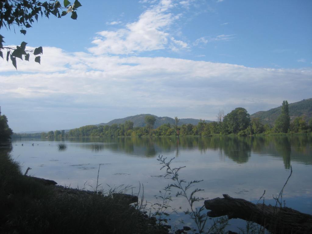 Découvrez l'histoire et le patrimoine de Saint-Rambert-d'Albon à travers ses cours d'eau : le Rhône, le Port de Champagne, l'Oron, les Collières et Les Claires. Plongez dans l'identité rhodanienne de la commune, son passé gallo-romain, son rôle de plus grand marché aux pêches de France et les enjeux de la gestion de l'eau dans la Valloire.