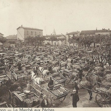 Saint-Rambert-d&rsquo;Albon : Quand la &laquo;&nbsp;Porte Nord de la Drôme&nbsp;&raquo; Régnait sur le Commerce Français de la Pêche