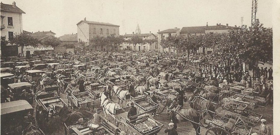 Le marché aux pêches de Saint-Rambert-d'Albon fut, de 1890 aux années 1950, le plus important de France par ses volumes d'expédition et son influence sur les cours nationaux. Situé à un nœud ferroviaire stratégique du réseau PLM, le marché permettait l'expédition rapide de fruits vers Paris (arrivée aux Halles le lendemain de la cueillette), l'Europe du Nord et les grandes métropoles. Les volumes témoignent de cette hégémonie : de 5 millions de kg expédiés par rail en 1932 à plus de 13 millions de kg (rail et route confondus) au milieu des années 1950. Aujourd'hui, cet héritage perdure à travers la coopérative Rhoda-Coop (fondée en 1943-1948) qui traite plus de 6 000 tonnes de pêches et nectarines annuellement, et le marché hebdomadaire du vendredi place Gaston-Oriol.