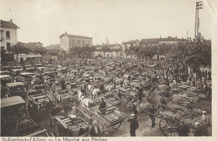 Le marché aux pêches de Saint-Rambert-d'Albon fut, de 1890 aux années 1950, le plus important de France par ses volumes d'expédition et son influence sur les cours nationaux. Situé à un nœud ferroviaire stratégique du réseau PLM, le marché permettait l'expédition rapide de fruits vers Paris (arrivée aux Halles le lendemain de la cueillette), l'Europe du Nord et les grandes métropoles. Les volumes témoignent de cette hégémonie : de 5 millions de kg expédiés par rail en 1932 à plus de 13 millions de kg (rail et route confondus) au milieu des années 1950. Aujourd'hui, cet héritage perdure à travers la coopérative Rhoda-Coop (fondée en 1943-1948) qui traite plus de 6 000 tonnes de pêches et nectarines annuellement, et le marché hebdomadaire du vendredi place Gaston-Oriol.