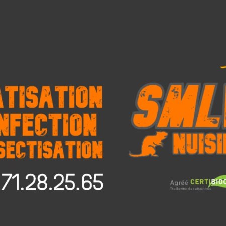 SMLV Nuisibles à Saint-Rambert-d'Albon : Votre Partenaire de Confiance contre les Invasions