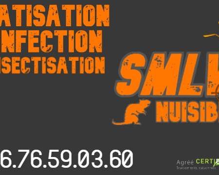 Expert certifié Certibiocide en dératisation, désinsectisation et destruction de nids à Saint-Rambert-d'Albon (26140). SMLV Nuisibles : interventions ponctuelles 7j/7 pour particuliers et contrats récurrents pour professionnels en Drôme, Ardèche, Isère, Loire et Rhône. Éliminez rats, punaises de lit, cafards et frelons asiatiques avec la lutte raisonnée. Devis gratuit, traçabilité HACCP. ☎️ 07 71 28 25 65 • smlvnuisibles@gmail.com • smlv-nuisibles.com
