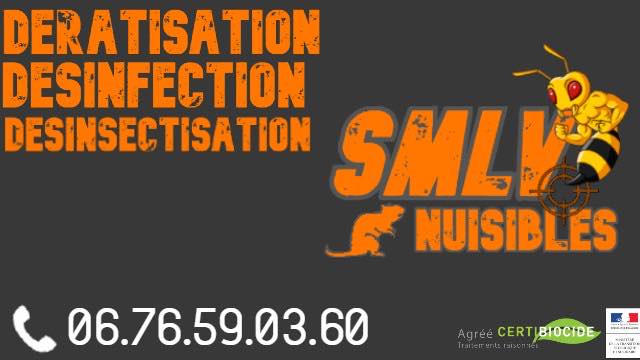 Expert certifié Certibiocide en dératisation, désinsectisation et destruction de nids à Saint-Rambert-d'Albon (26140). SMLV Nuisibles : interventions ponctuelles 7j/7 pour particuliers et contrats récurrents pour professionnels en Drôme, Ardèche, Isère, Loire et Rhône. Éliminez rats, punaises de lit, cafards et frelons asiatiques avec la lutte raisonnée. Devis gratuit, traçabilité HACCP. ☎️ 07 71 28 25 65 • smlvnuisibles@gmail.com • smlv-nuisibles.com