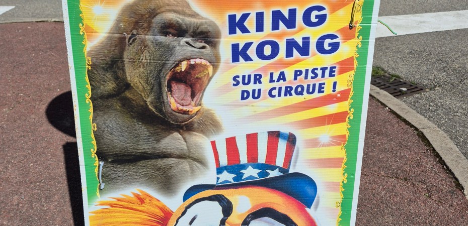 Les affiches sont déjà posées dans les rues de Saint-Rambert-d'Albon — le grand événement approche. Le Cirque Flavio s'installe rue du Terraly à côté des terrains de tennis (parking de l'ancienne piscine), pour quatre représentations exceptionnelles autour d'un spectacle inédit : King Kong sur la piste du cirque ! Mercredi 1er, samedi 4, dimanche 5 et lundi 6 avril 2026, toutes à 16h — soit quatre occasions de vivre la magie du chapiteau en famille, pendant les vacances de Pâques. Plus d'1h30 de spectacle (avec une courte pause en milieu de programme), des animaux en piste — chevaux, poneys, lamas — et des tarifs accessibles à tous : 12 € en gradin, 14 € en loges. Un rendez-vous à ne manquer sous aucun prétexte pour les petits et les grands du nord Drôme.