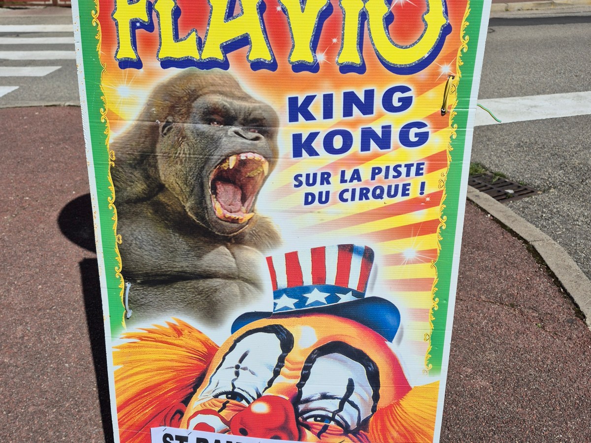 Le Cirque Flavio à Saint-Rambert-d&rsquo;Albon – 1, 4, 5 et 6 avril 2026