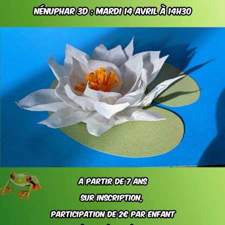 Atelier créatif Nénuphar 3D — médiathèque, 14 avril 2026
