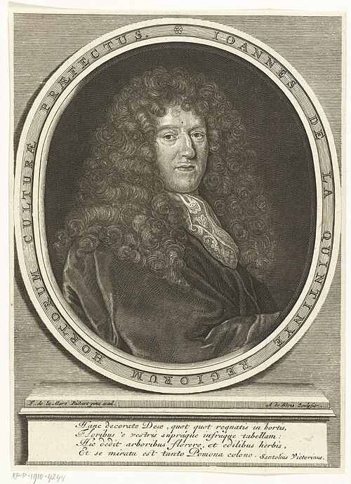 Jean-Baptiste de La Quintinie, cultive plusieurs dizaines de variétés au Potager du Roi, achevé en 1683
